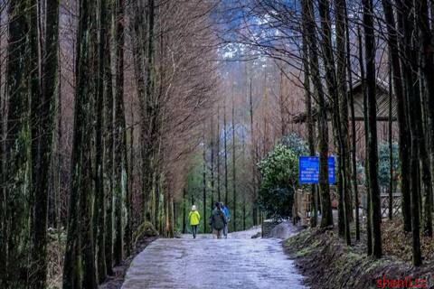 崇州鸡冠山拓展基地