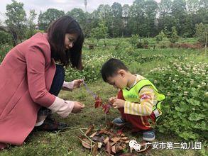 【春游记】“感受春天，让身心撒野”——户外拓展活动