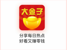 大金子app下载